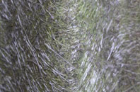 Newton Ferrers fibreglass roof work